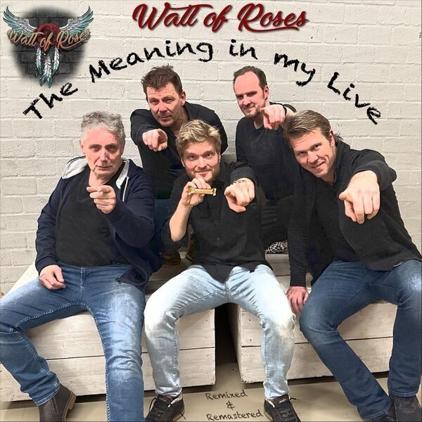 Cover art for The Meaning In My Life